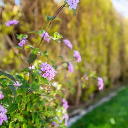Apartment Coastal Terrace Lagos